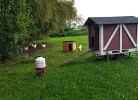 Landhaus Ostfriesenruhe