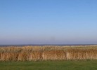 Frische Brise 08.02
