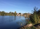 Modernes Ferienhaus Seegras