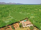 H293 Finca Tia in Pollenca