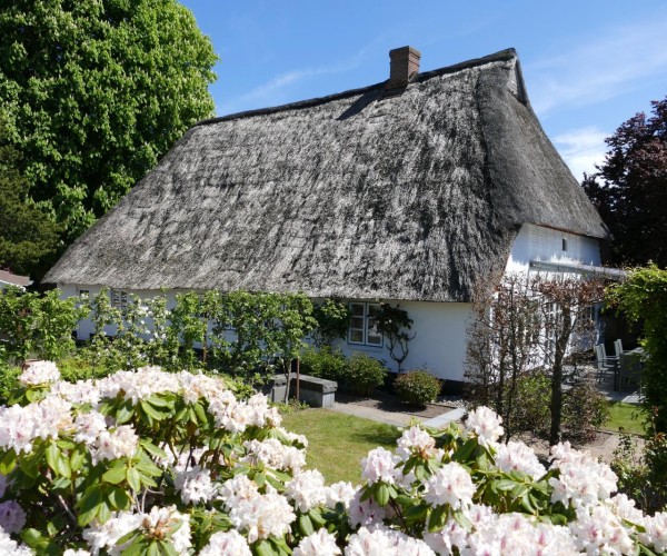 Landhaus zur alten Kastanie in Bohnert