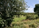 QUARTIER HOHE GEEST 14