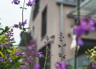Ferienhaus Renkenmühle