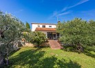 Villa Olive Tree