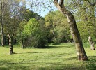 Herrenhaus App. 03