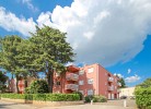 Apartment Senka