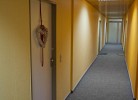Inselblume 79 - Ferienwohnung mit Meerblick im Strandhaferweg