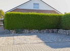 Inselblume 38 - Zentrale Ferienwohnung in Burg mit Garten