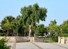 Torre Rinalda Beach Camping Mobilehome Happy Easy