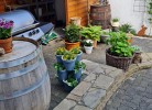 Ferienwohnung 'Beim Hubert'
