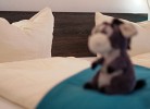 Haus Sanddüne im Dünenpark I, Wohnung 10 'Koralle'