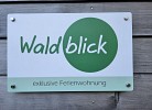 Naturverliebt am Diemelsee - Waldblick