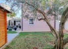 Apartment Ivy
