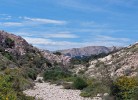 Dorcic 3