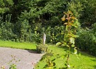 NEU! Ferienwohnung Brigitte Norden