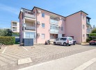 Apartment Ivy