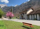 Revier schlicht und bahnsinnig