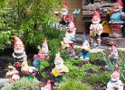 Fereinwohnung Tannenblick mit 2 Balkonen und Hallenbad - Mein Schwarzwaldhäusle