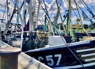TIDELAND 2