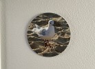 Seemöwe 2