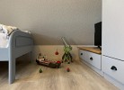 Ferienhaus INSELKIEKER