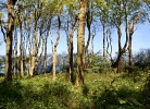 Rundgang