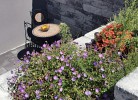 3 Ferienwohnung Loreley
