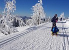 Ferienwohnung Naturverliebt im Schwarzwald - mit Sauna und Panoramabalkon, direkt an Skipiste und Wanderwegen