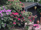 Wohnung 4