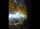 Ferienwohnung Talblick