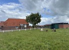 Ferienhaus Assing am Deich