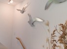 Ferienwohnung Urlaubsanker