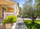 Apartment Olea 1