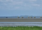 Frische Brise 04.11