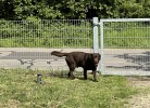 Herzoglicher Forsthof Stolpe
