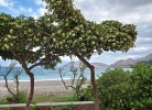 Dorcic 3