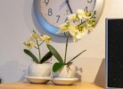 Ferienwohnung Wattlooper
