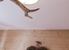 5Sterne Ferienwohnung Edelweiß