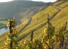 Ferienwohnung Old Winery 2