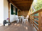 Feriendorf Stork Bungalow Bilo Dog