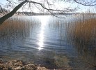 Landhaus am See App. 2