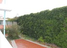 Ostsee-Appartement K014
