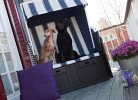 Fischerliesel Greetsiel