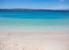 Holiday Oasis 5
