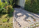 Ferienwohnung im Nationalpark Bayerischer Wald