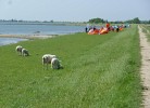 Lotsenhus