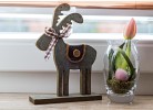 5Sterne Ferienwohnung Edelweiß
