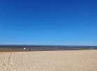 Frische Brise 04.11