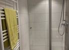 Seemöwe 2