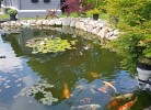 Haus am Teich